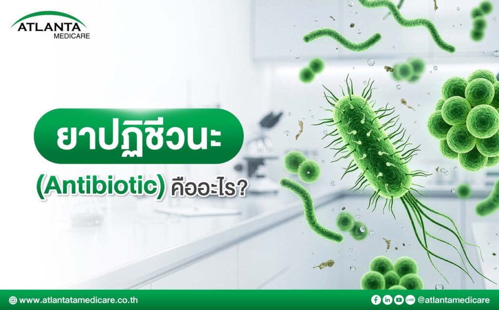 Amoxicillin + Clavulanic Acid Bactoclav